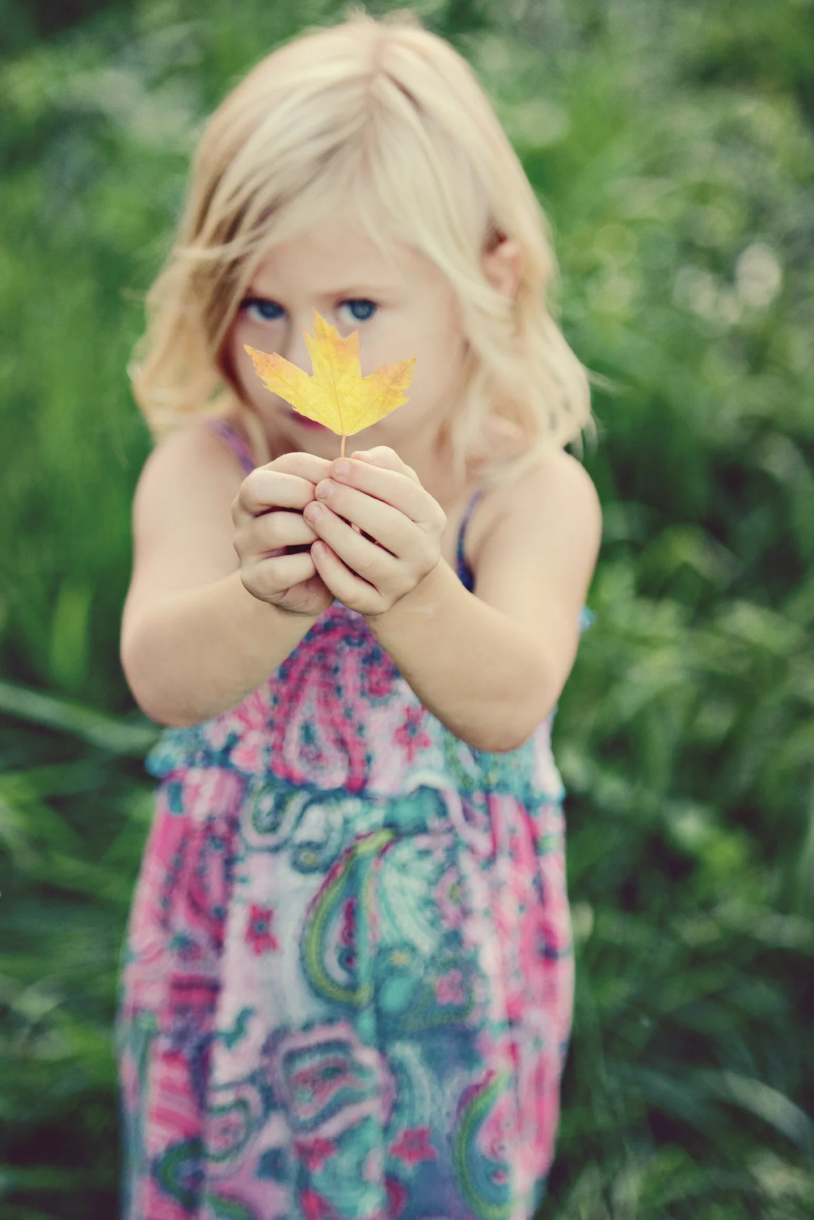 addie20120827_0331.jpg