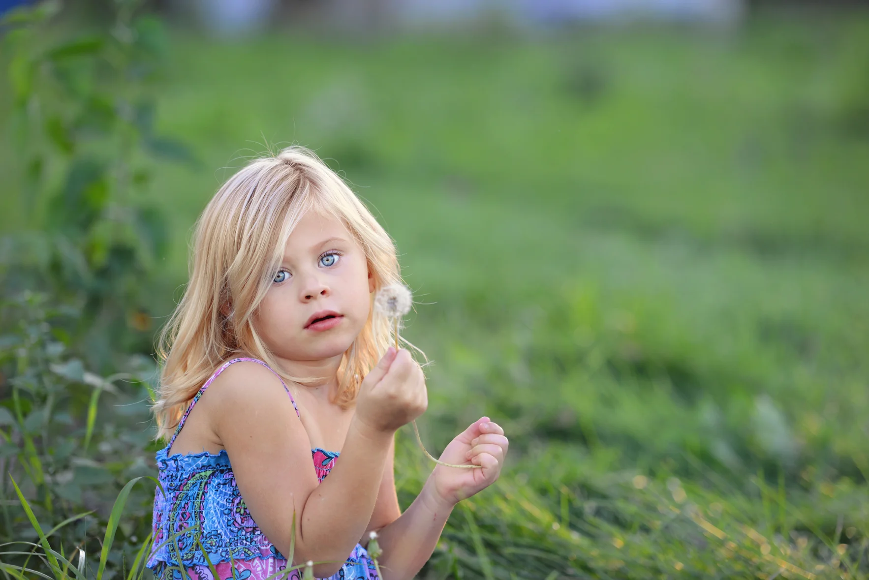 addie20120827_0313.jpg