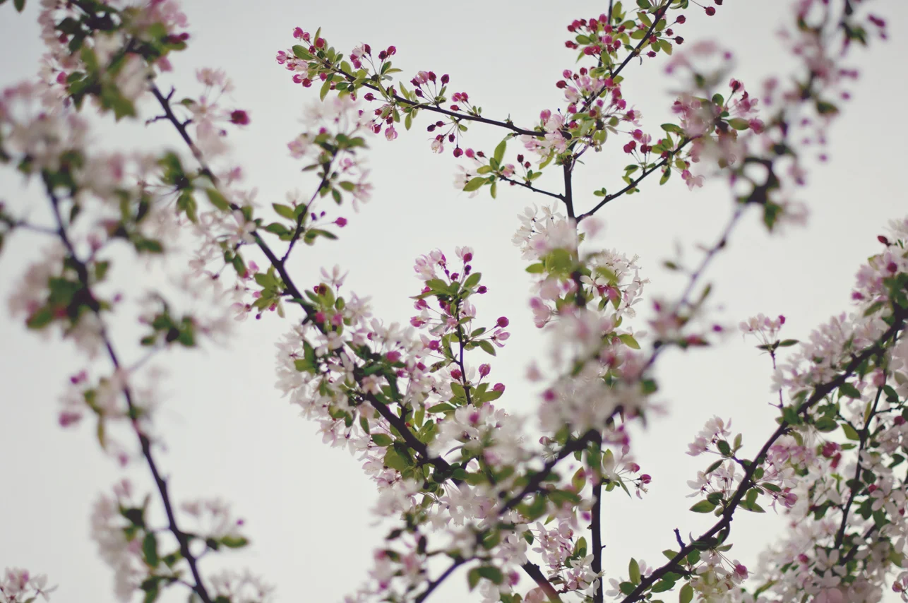 spring20120328_0014.jpg