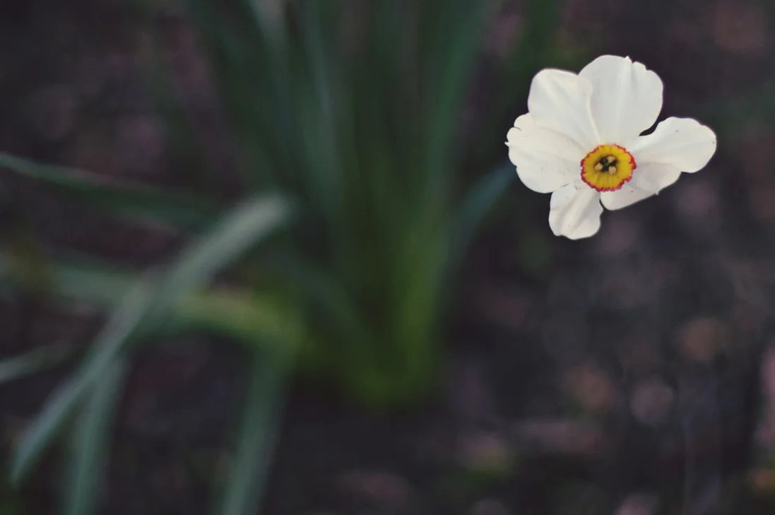 spring20120328_0030.jpg