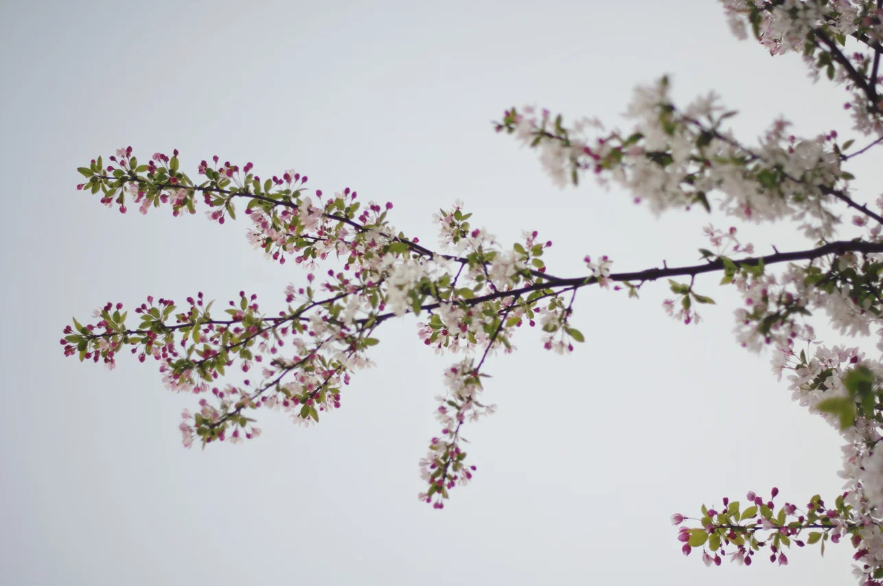 spring20120328_0018.jpg