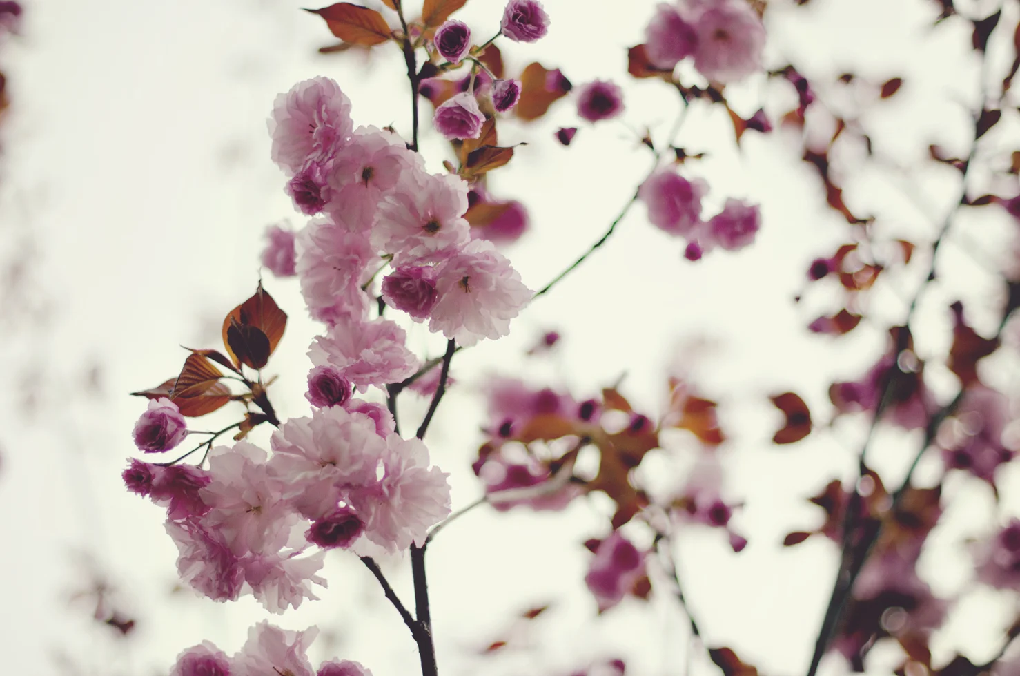 spring20120329_0044.jpg