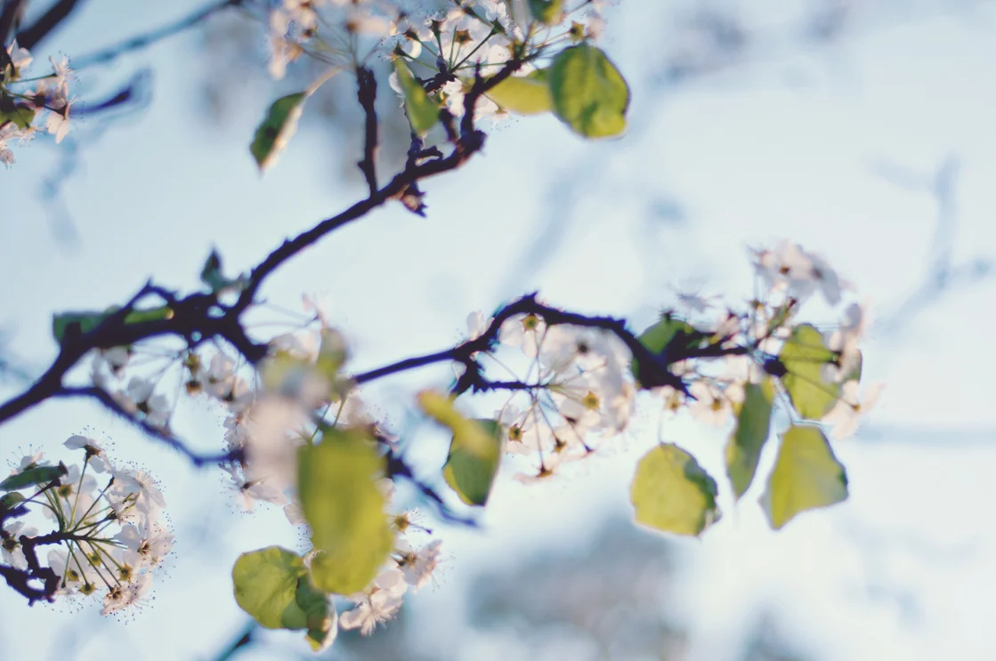 spring20120328_0010.jpg