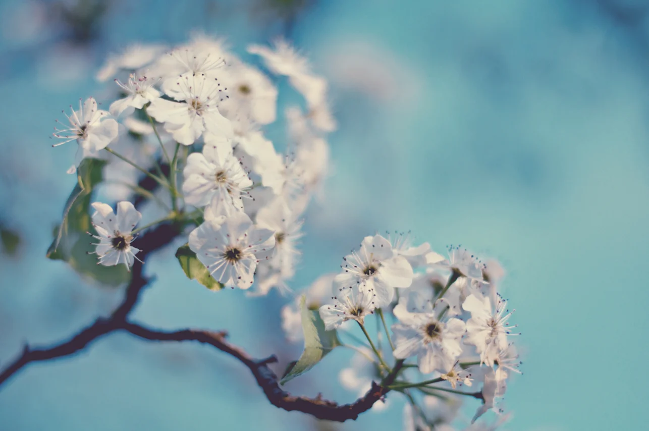 spring20120328_0011.jpg