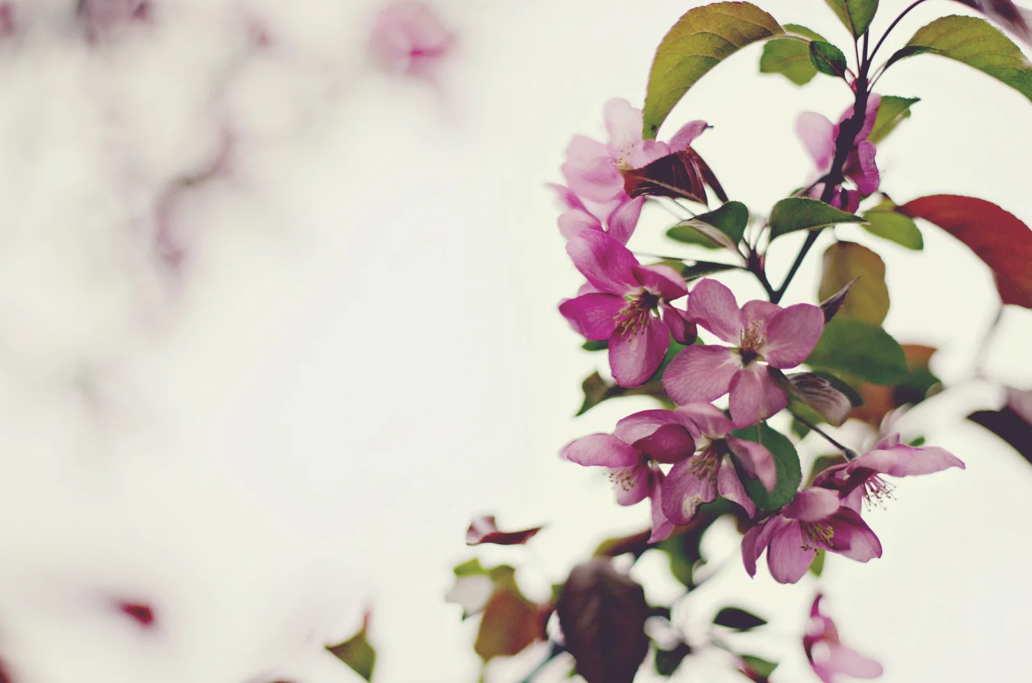 spring20120329_0047.jpg