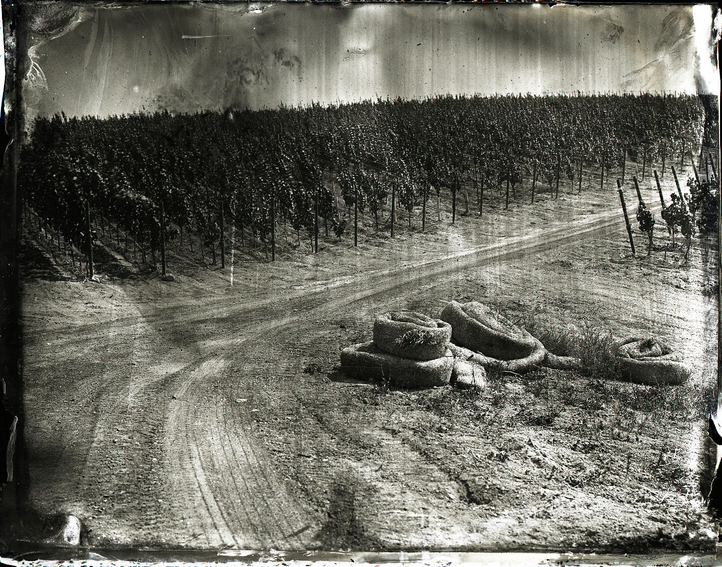 image2.jpg