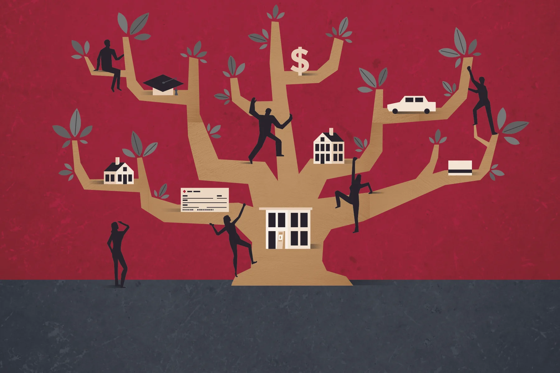 SFCU-Illustrations-tree-300-01.jpg
