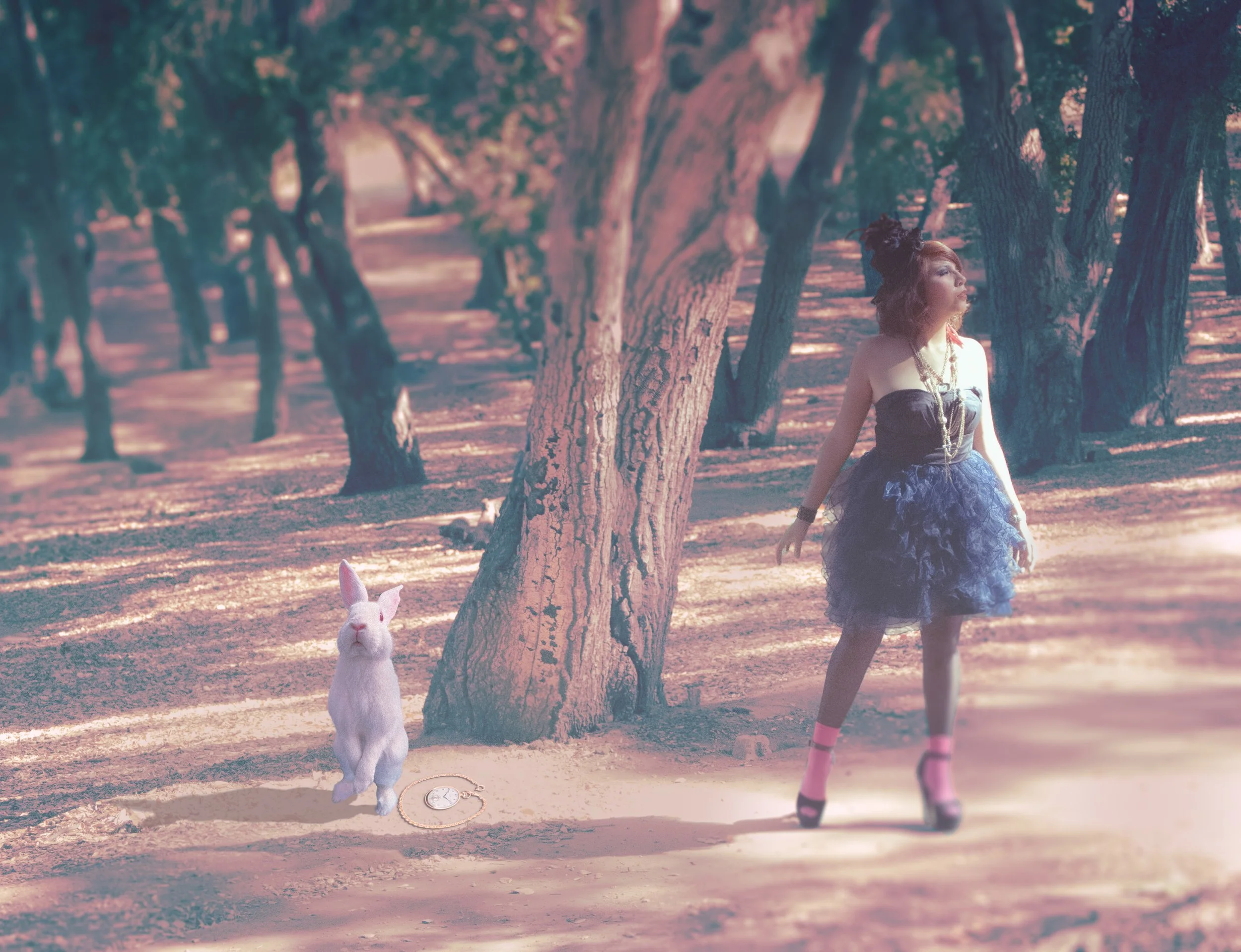 Wonderland.jpg