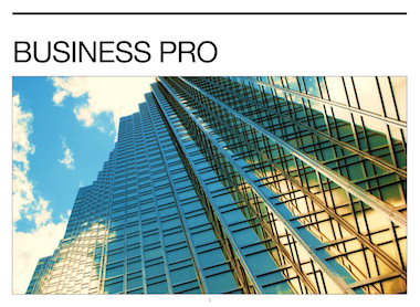 Business_Template_0004.jpeg