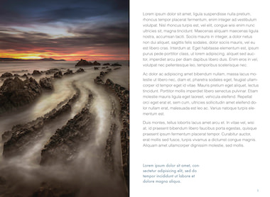 Photography_Template_ART_2_0020.jpeg