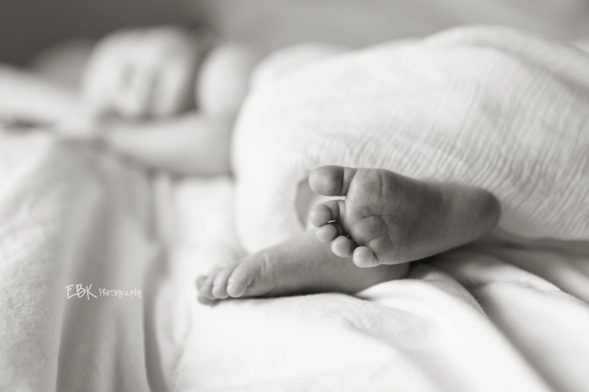 IMG_9252 bwcopy.jpg
