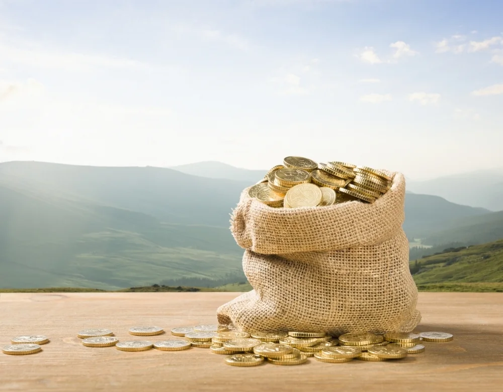 Trade for a Bag of Gold?