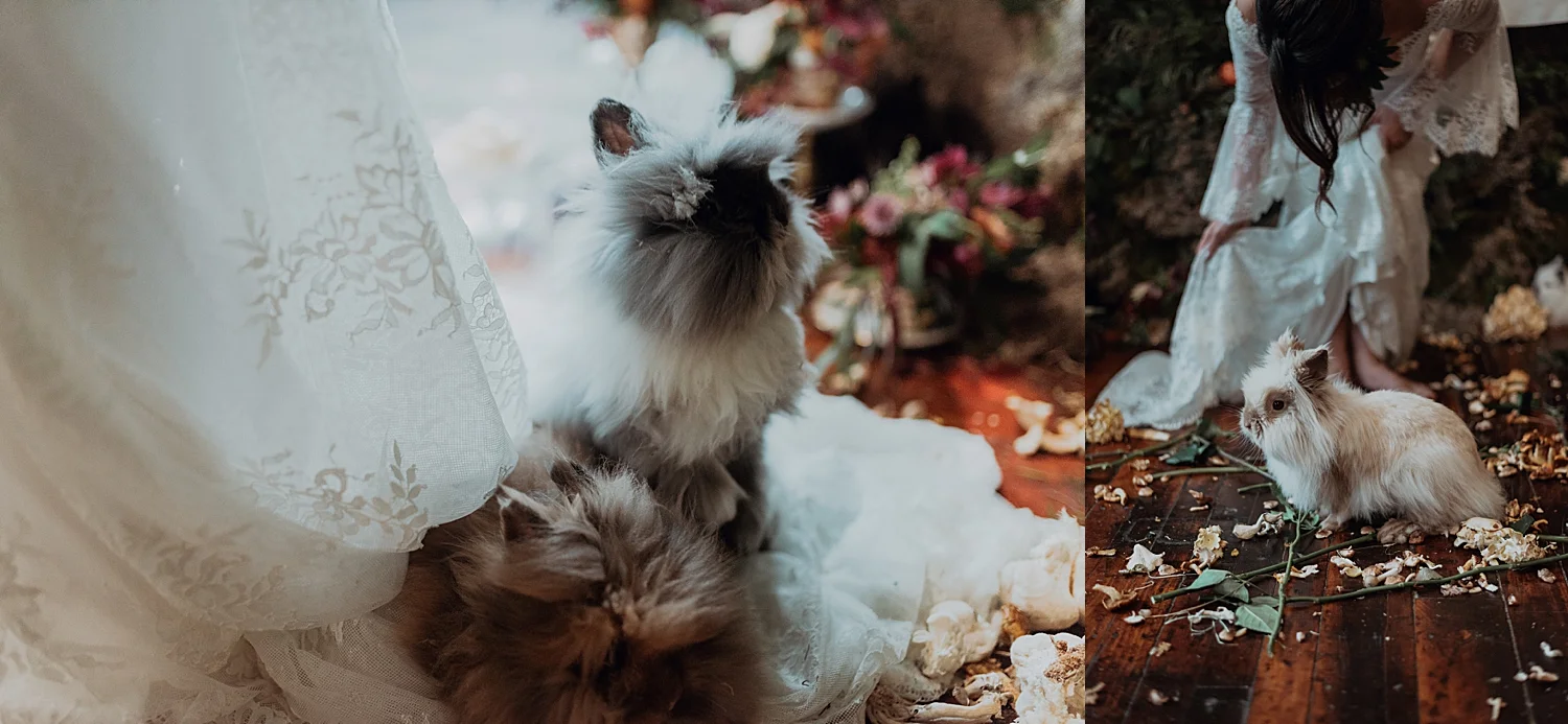 Alice-160.jpg