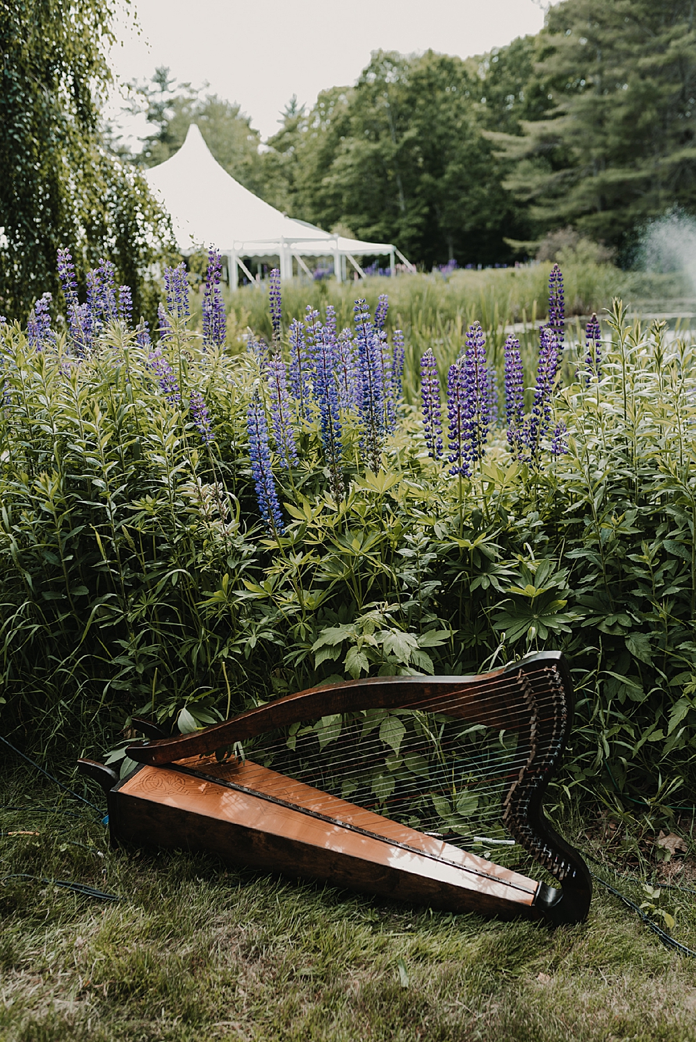 CodyJamesBarryPhotography_1812FarmWedding_BristolMaine-21.jpg