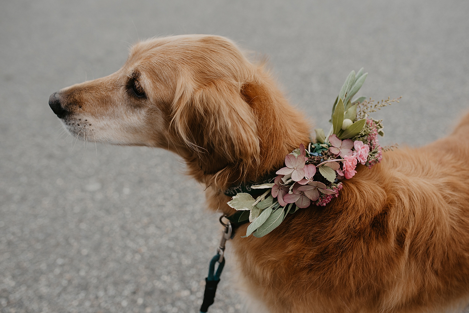 CodyJamesBarryPhotography_EasternPromenadeWedding_RiRaIrishPub_PortlandMaine-14.jpg