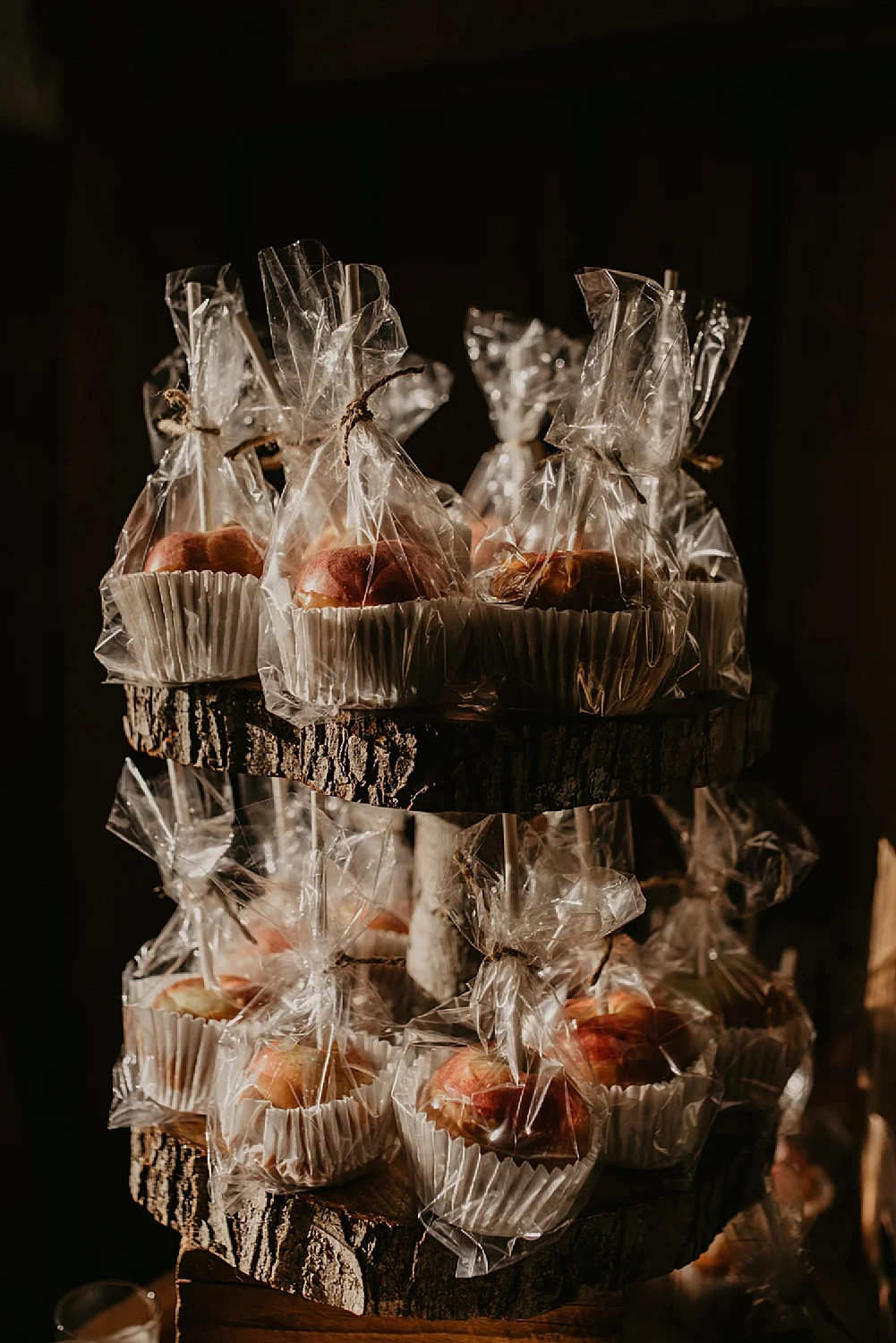 CodyJamesBarryPhotography_GardengateAtHaleyFarmWedding-42.jpg
