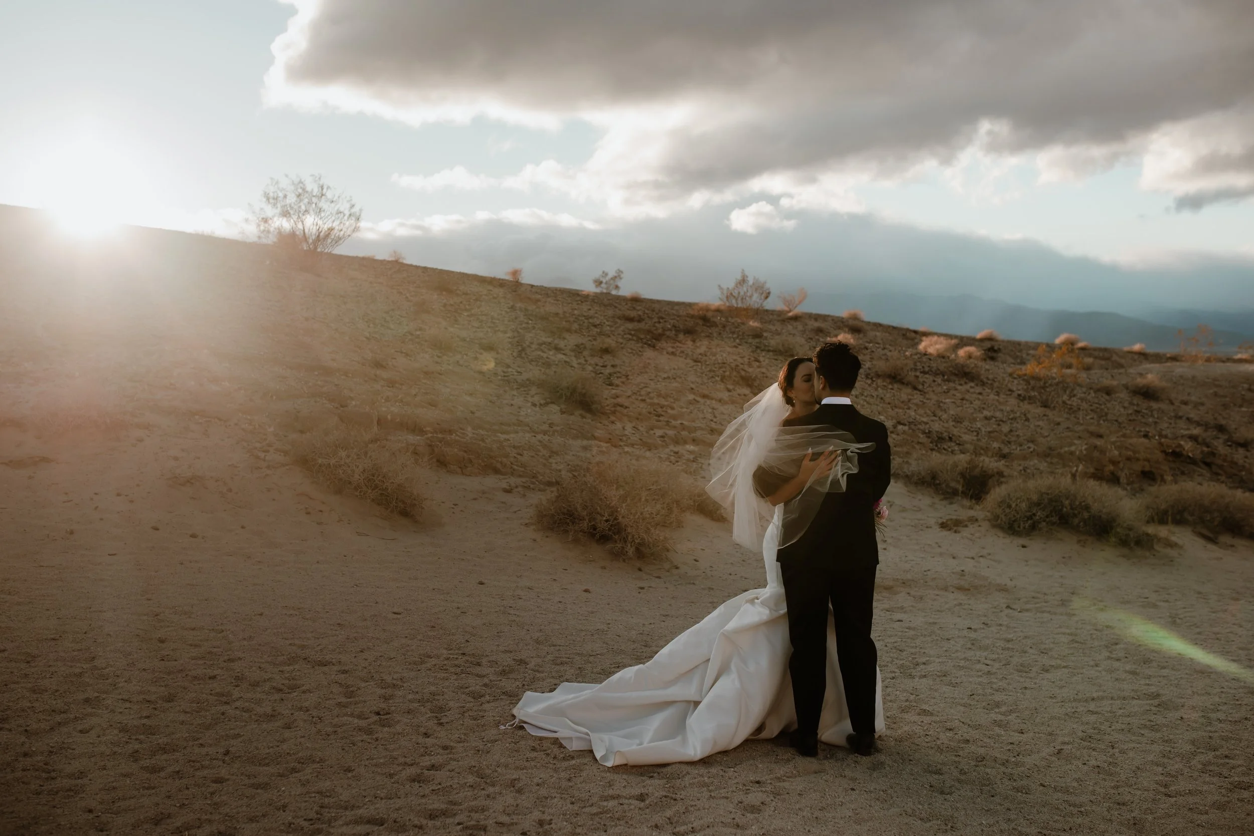 Opus Events Co _ Anza Borrego Desert Elopement _ Eve Rox Photography 45.jpg
