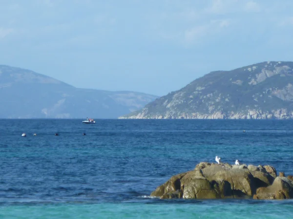 Copy (2) of mussels.jpg