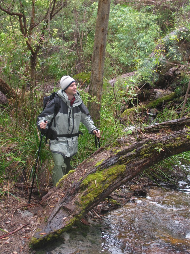  We reckon there's nothing better than walking through the forest in the misty rain - what about you? 