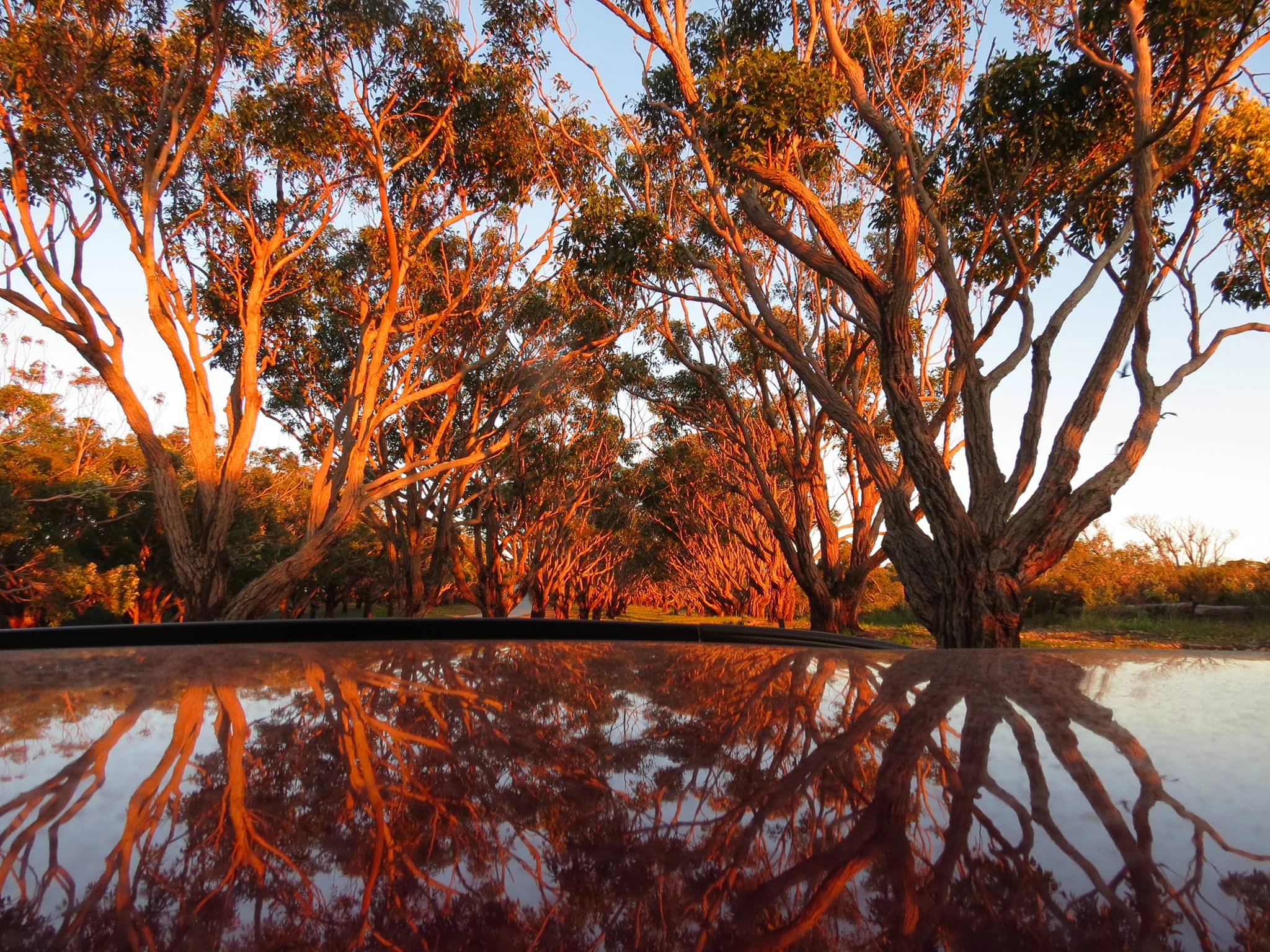 Thank you Shane Green for this stunning photo of Apex Drive at sunrise.