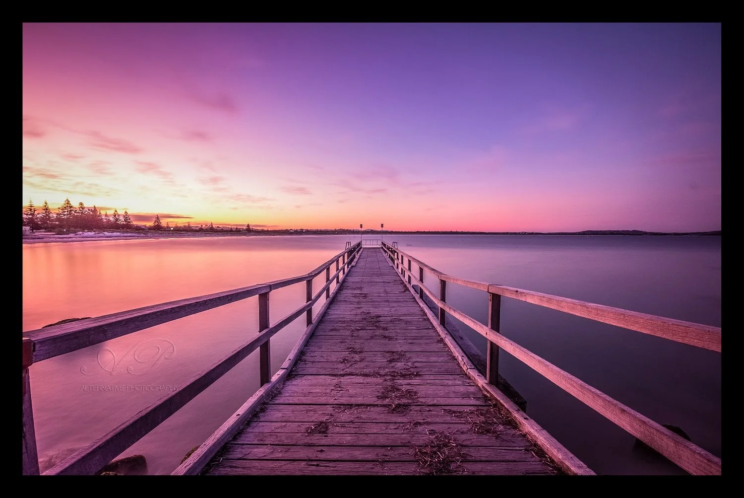 Thank you  Alternative Photography