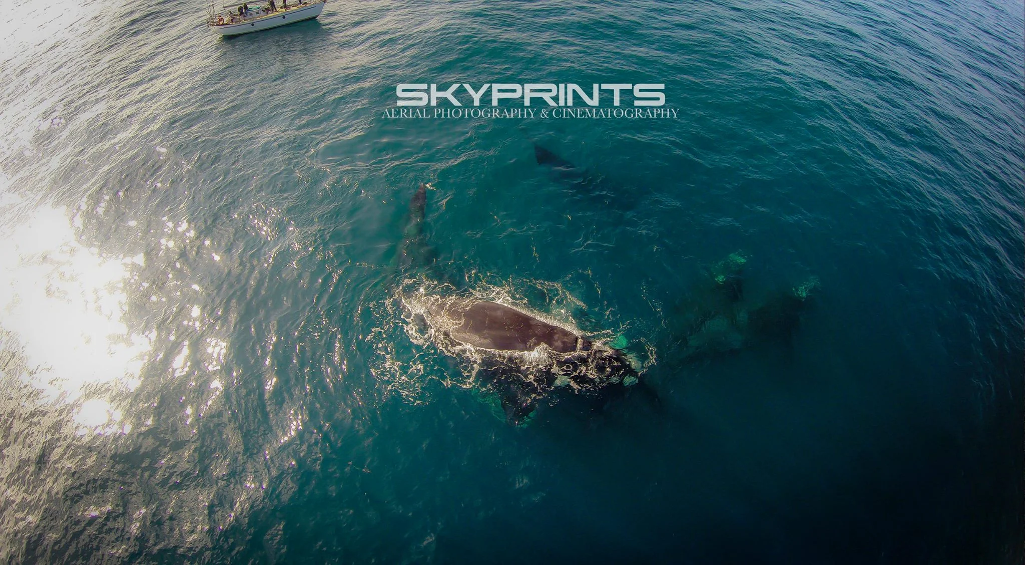 &nbsp;  SKPRINTS Aerial Photography and Cinematrography