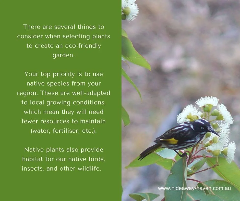 Albany Region Social Media Marketing