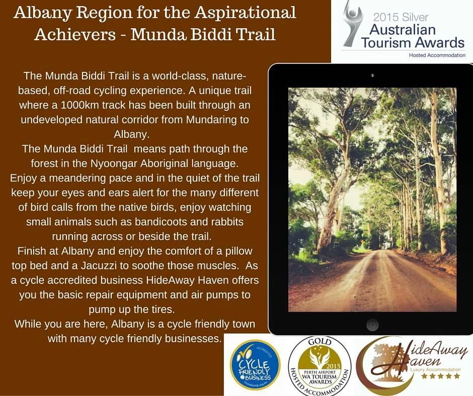 Albany Region Social Media Marketing