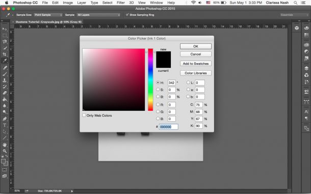 Duotone_Photoshop_tutorial_step_4.png