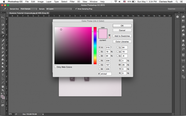 Duotone_Photoshop_tutorial_step_5.png