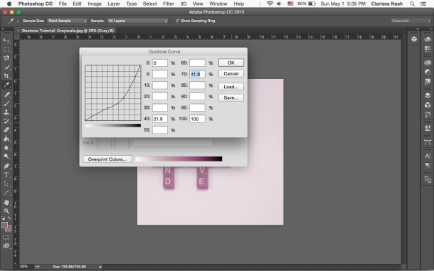 Duotone_Photoshop_tutorial_step_7.png
