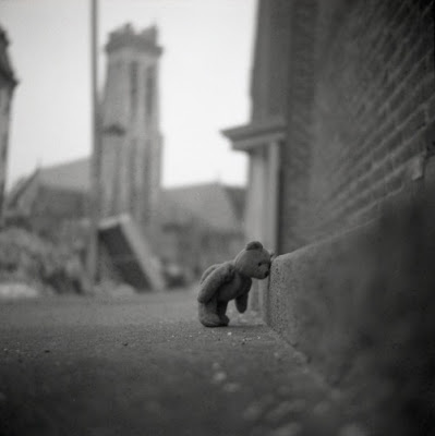 teddy.jpeg