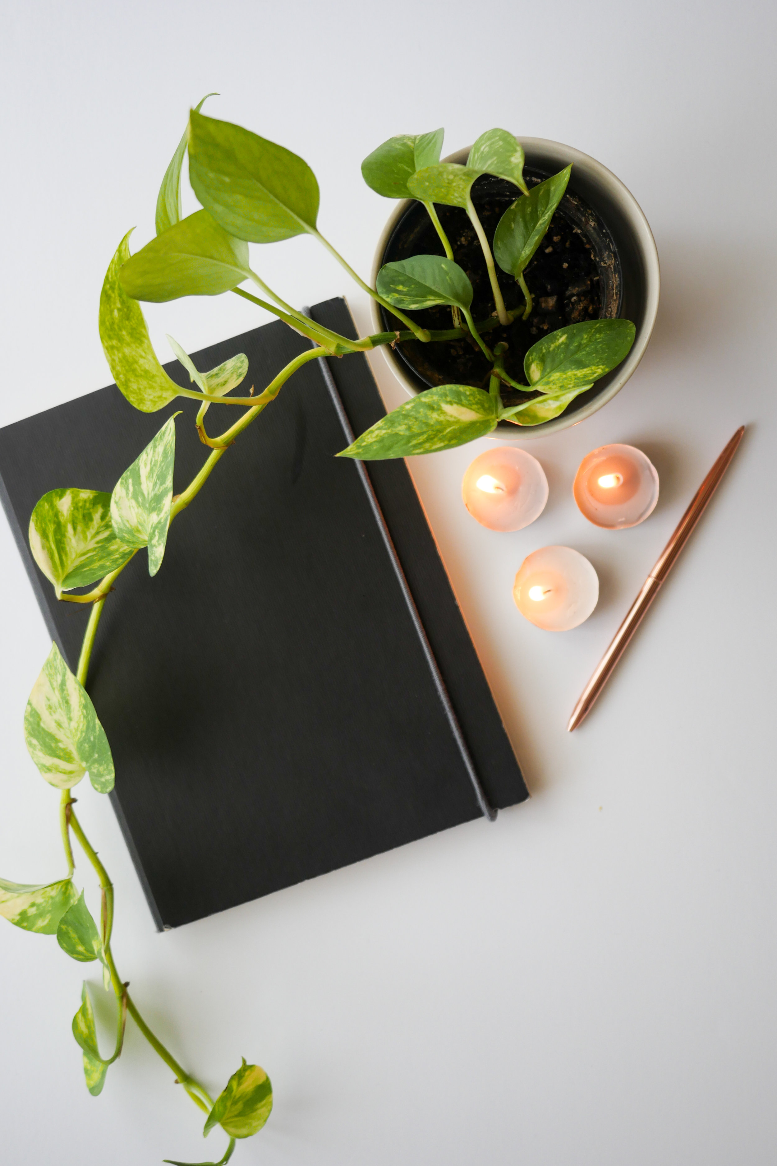 FIVE-12-STUDIO-Journal-candles.jpg
