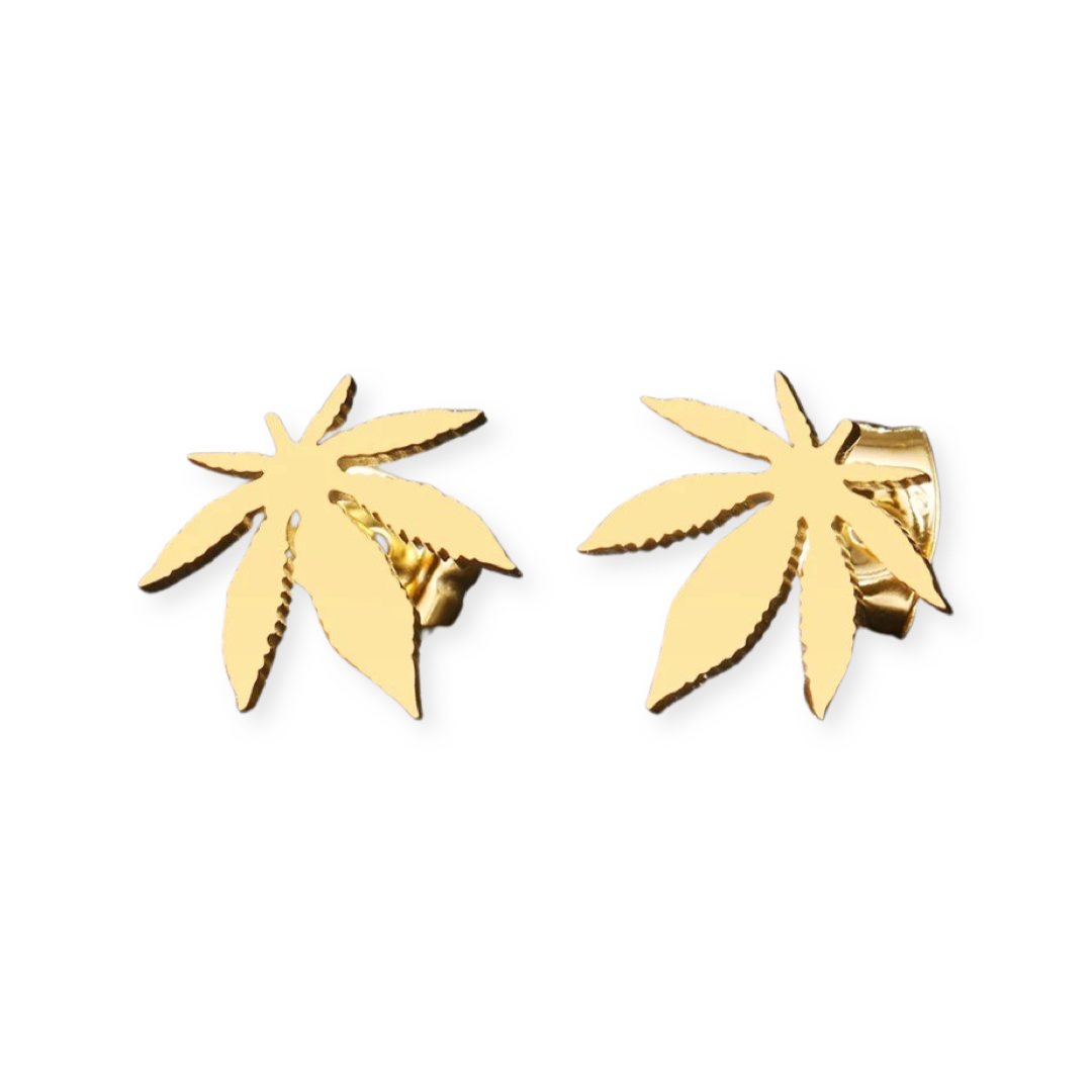 8BCAFA0E-7E03-4EA6-B4A9-DF4135579A0F