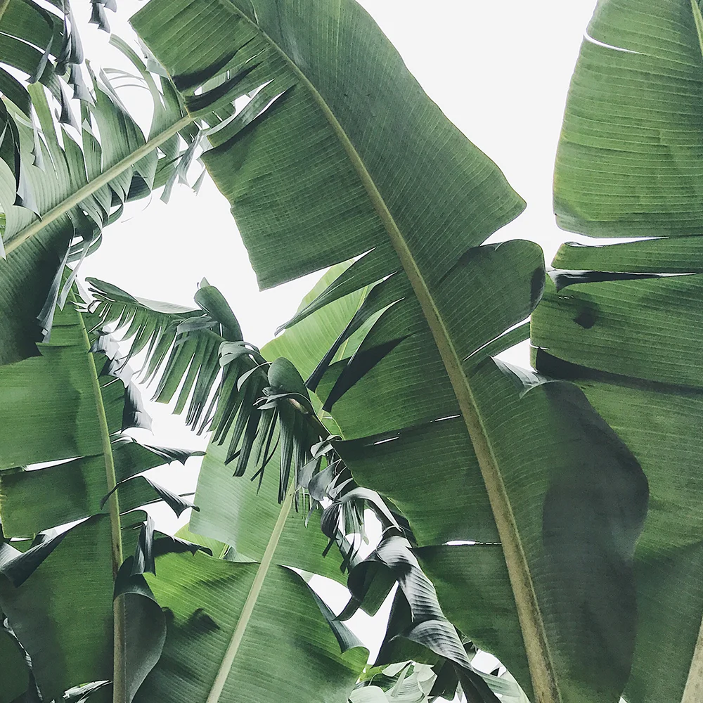 Studio News: A new feel