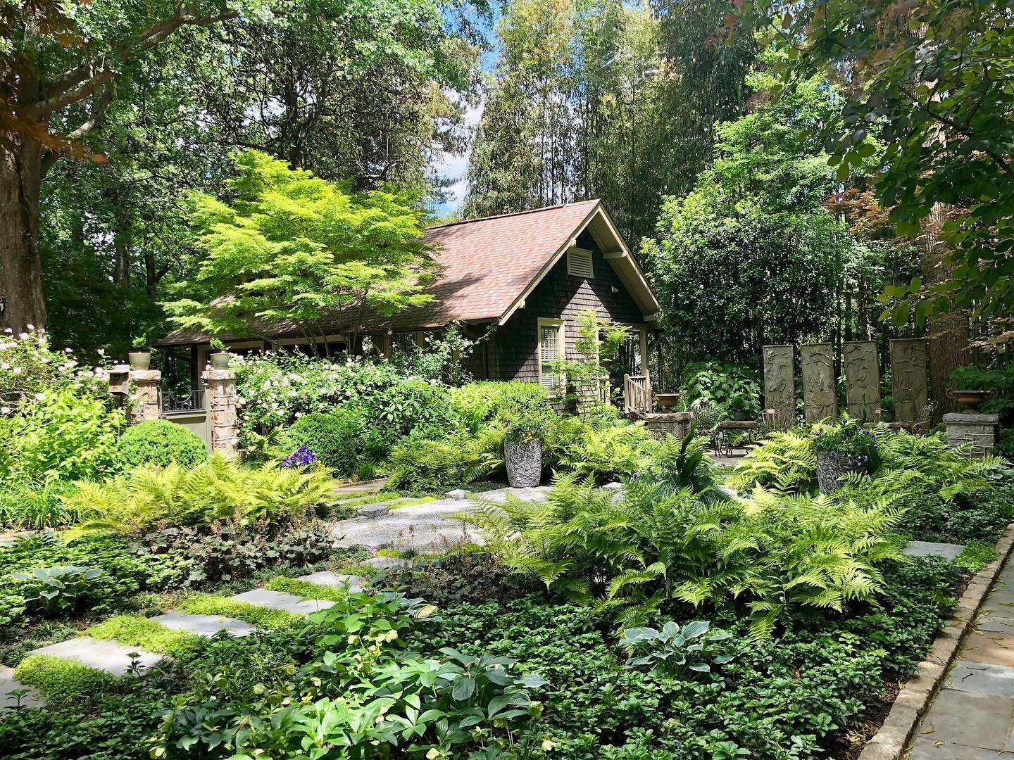 Here&rsquo;s to hoping that all of this greenery keeps us from getting pinched this St.Patrick&rsquo;s Day! 
We hope everyone can get out, and enjoy a little time in a green-space this week!

🍀Happy St.Patrick&rsquo;s Day!🍀
.
.
.
.
#LetsTakeThisOut