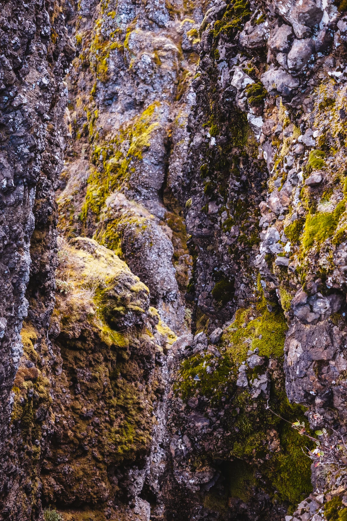 Portland-2018-700.jpg