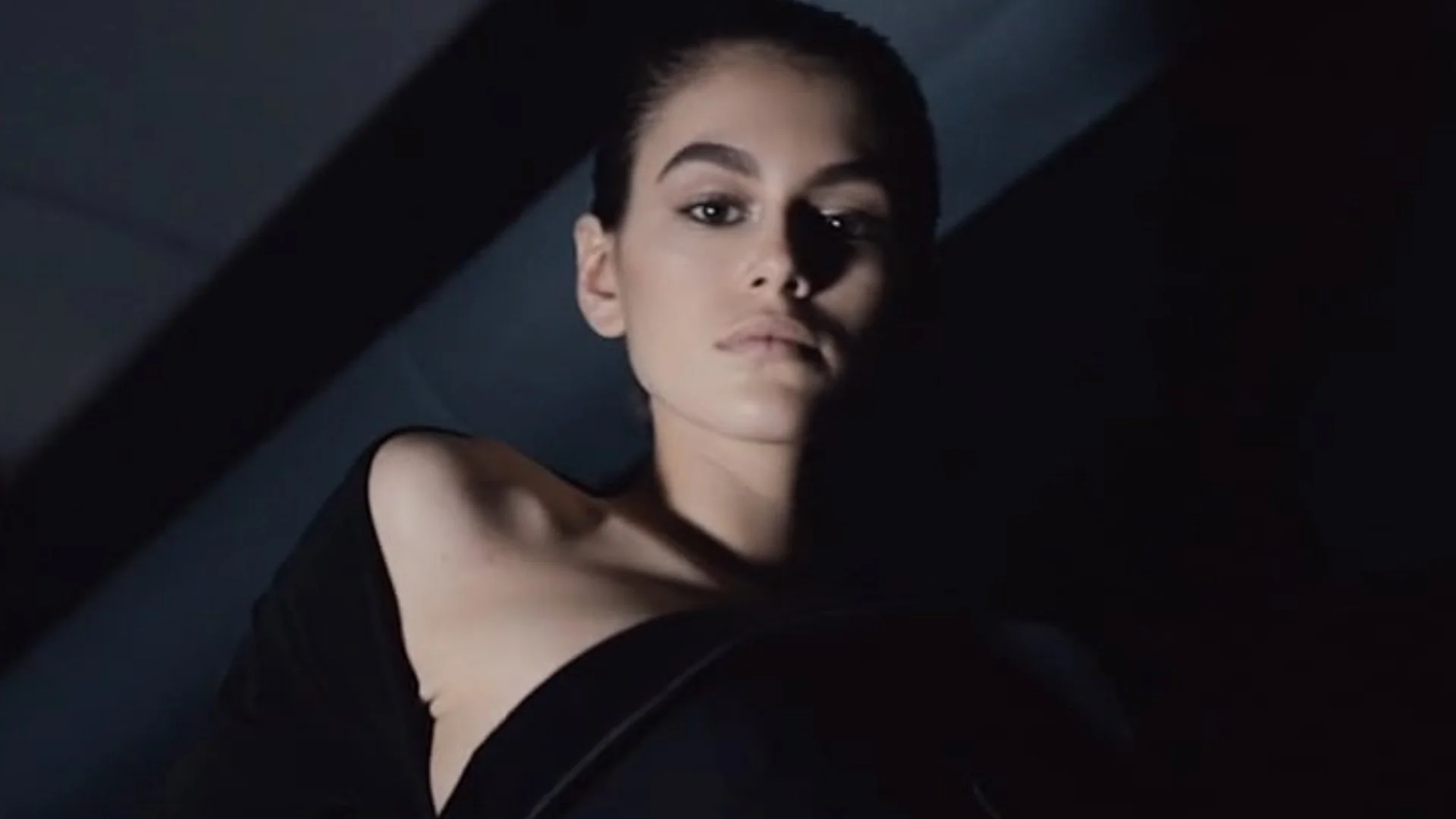 Alexander Wang | CEO Collection | Dir. Cut