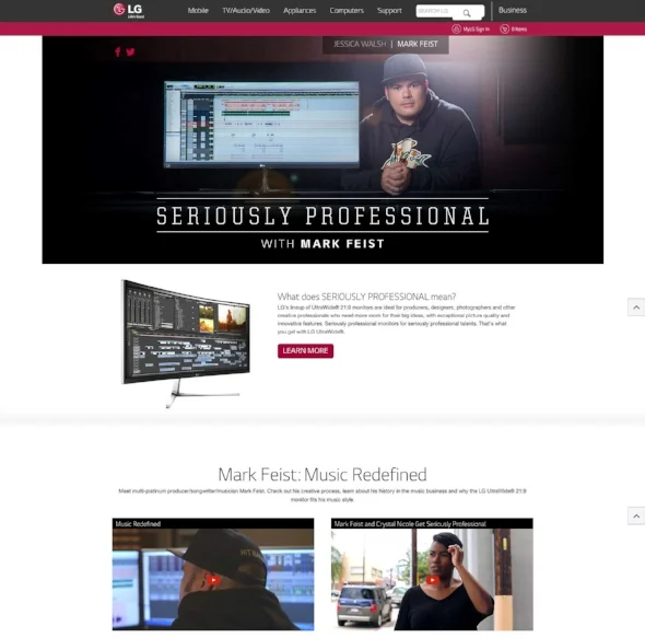 Seriously_Professional_Websites-2.jpg