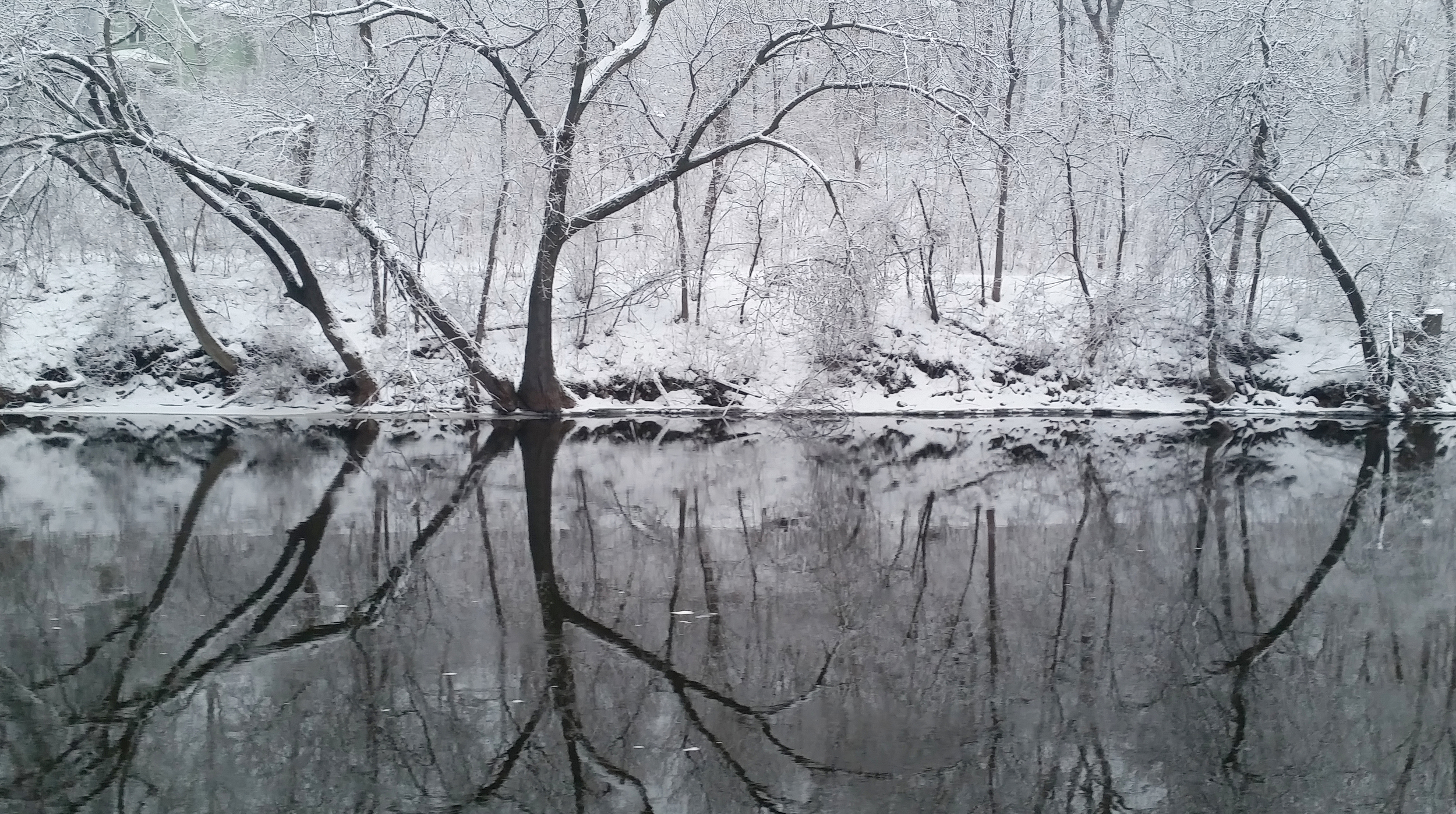 "This morning, the river gave a beautiful reminder about the life of trees. The expansive presence we see and experience above ground is equally matched by the root system they grown below ground. They are an inspiring example of a balanced system, a strong living being. And a powerful reminder that securing your foundation is truly the only sustainable way to reach higher." January 2016