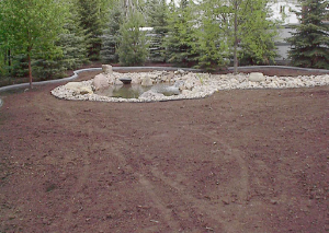 Grading and Drainage Planet Plant It, Inc. has vast experience and equipment for
grading and installing appropriate drainage as required by situation or design
for both residential and commercial projects.
Let us help you with your erosion problems as well.
