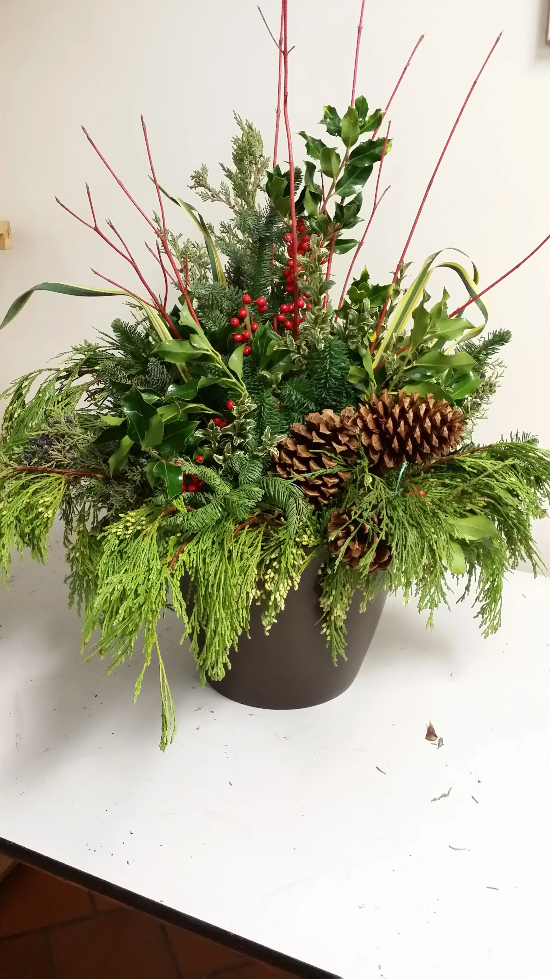 Tis the Season!! Seasonal greens add charm and elegance to your entryways!