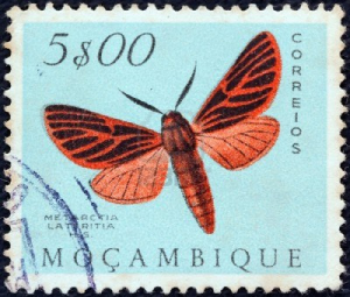 15876960-mozambique--circa-1953-a-stamp-printed-in-mozambique-from-the-butterflies-and-moths-issue-shows-a-me.jpg