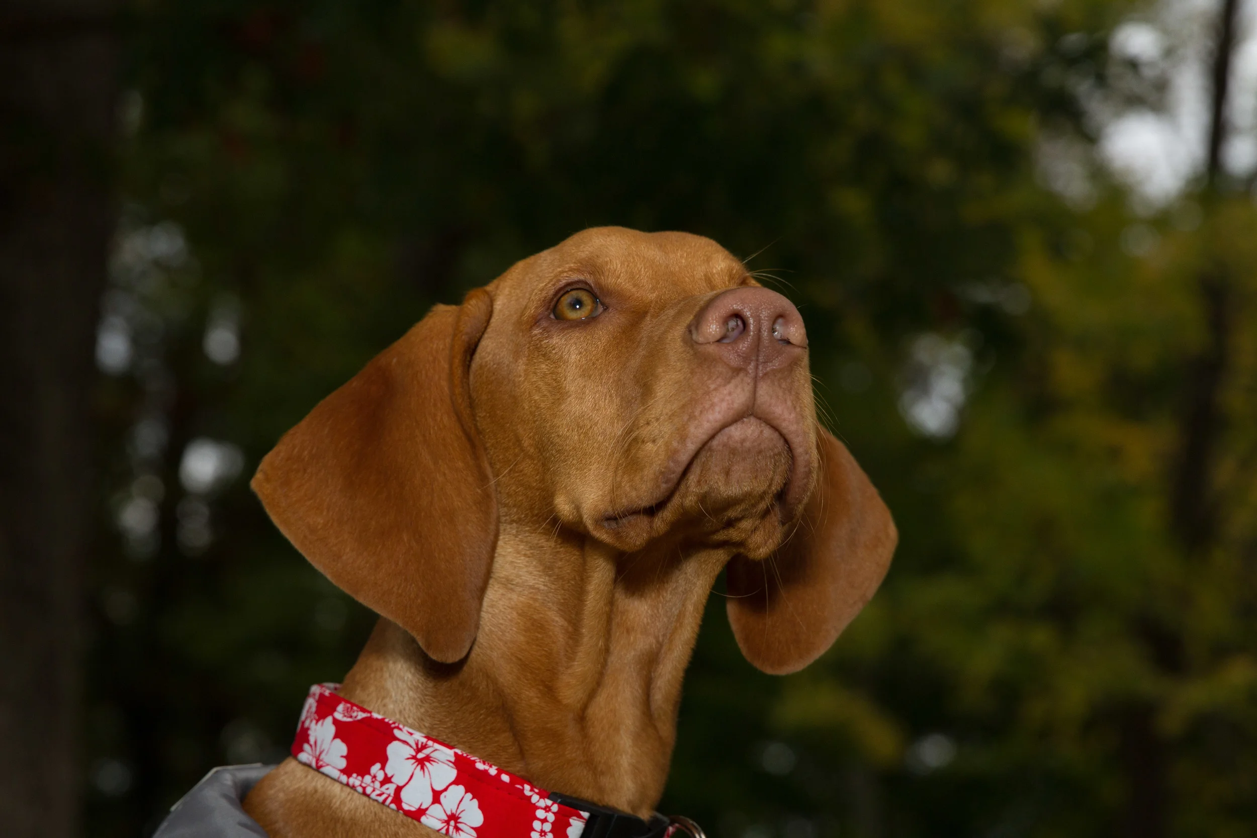 Remi-0311.jpg