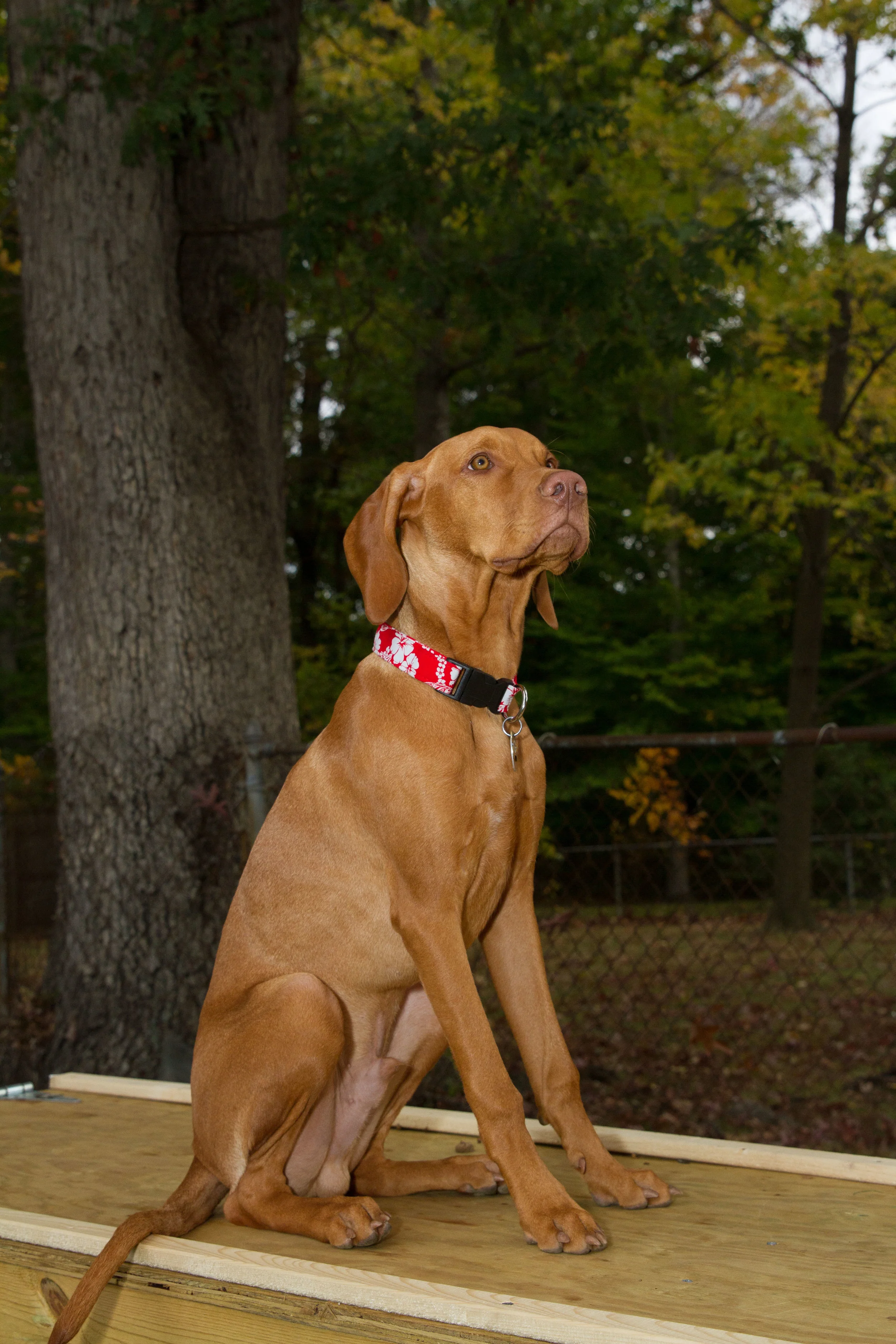 Remi-0317.jpg