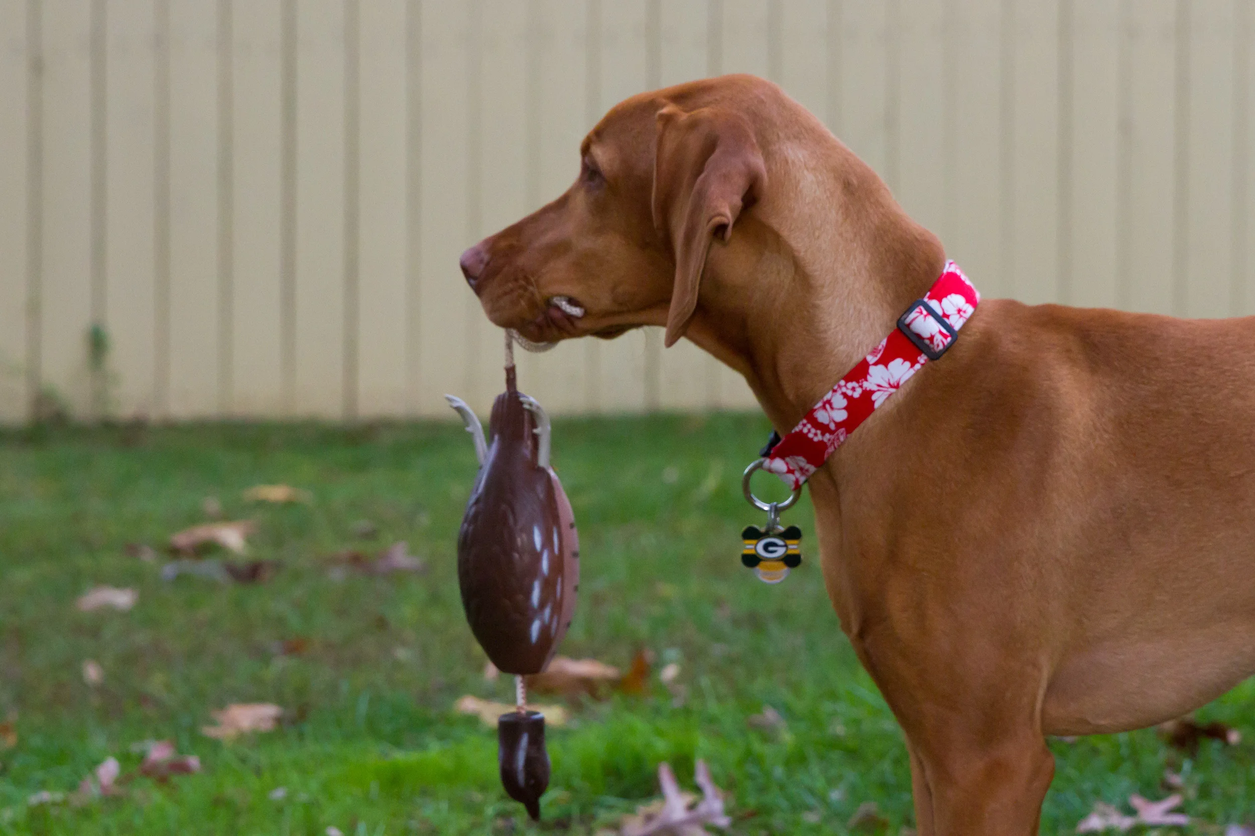 Remi-0333.jpg