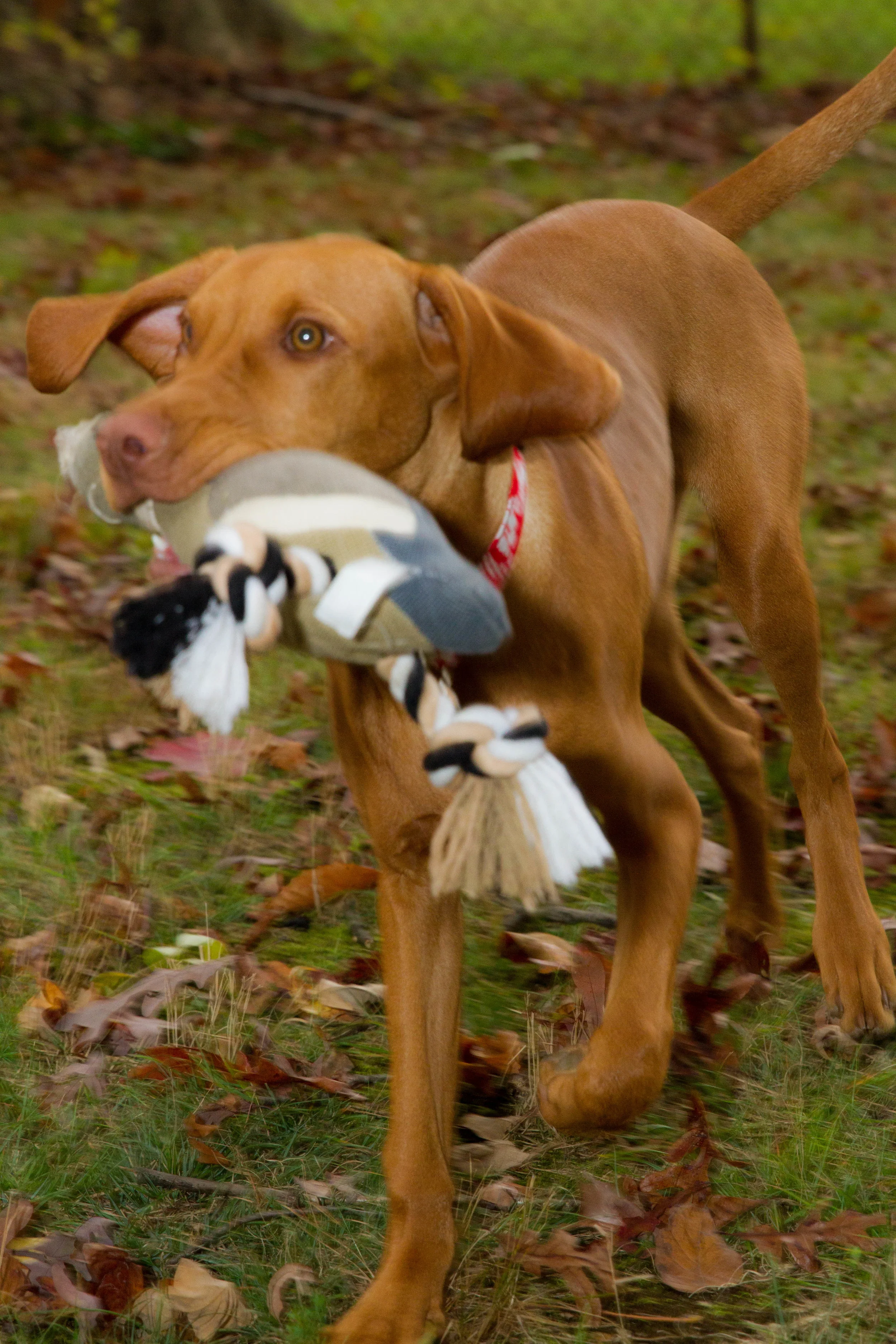 Remi-0362.jpg