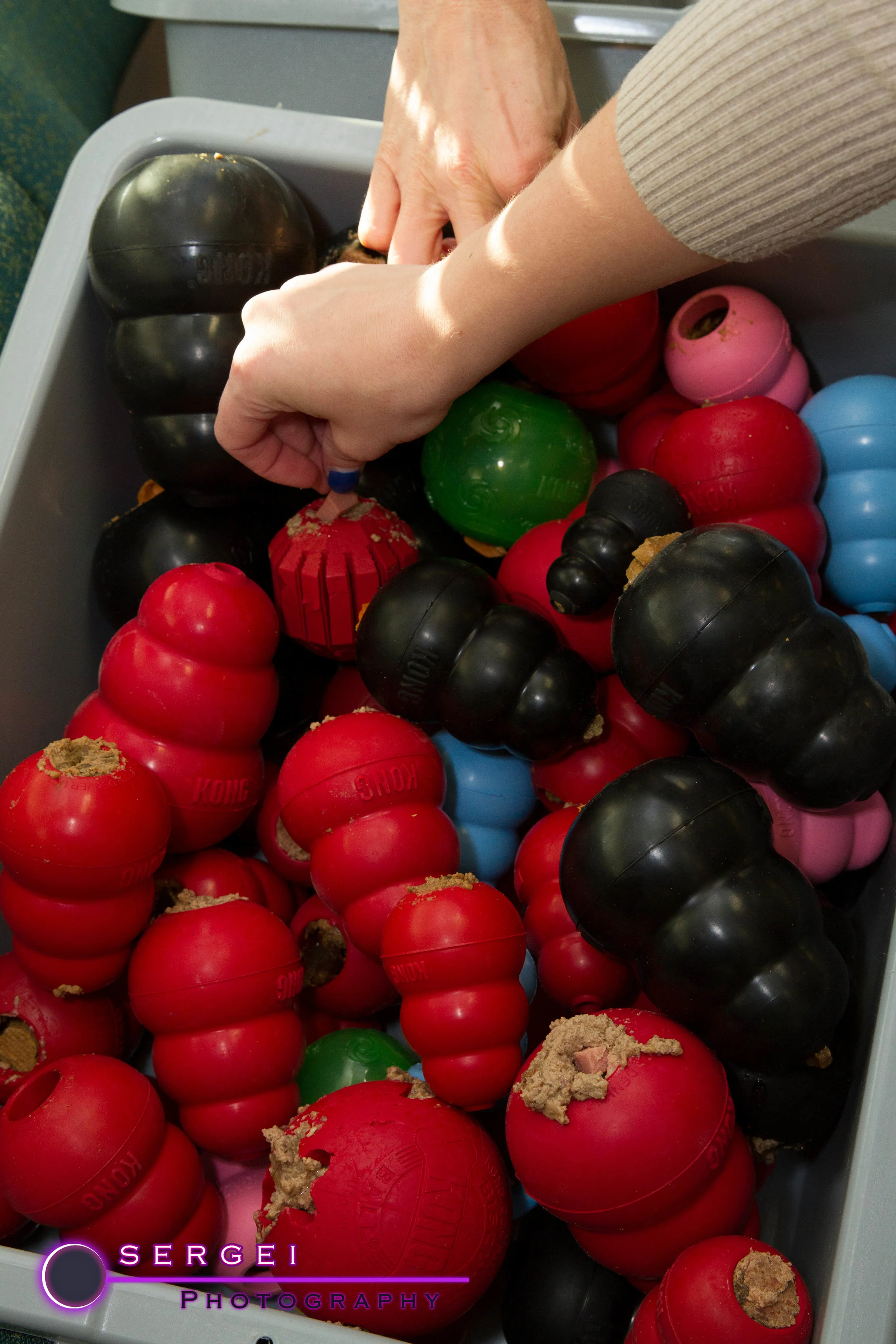 Kong-2443.jpg