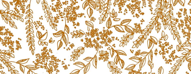 foliage.jpg