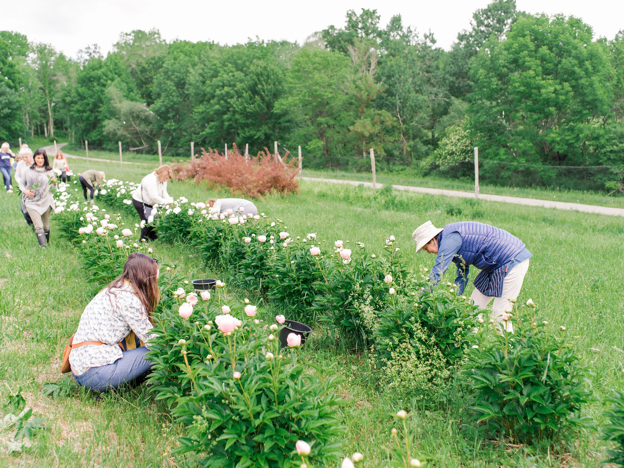 2018_Ariella_Berkshires_0531.jpg